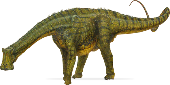 nigersaurus图片